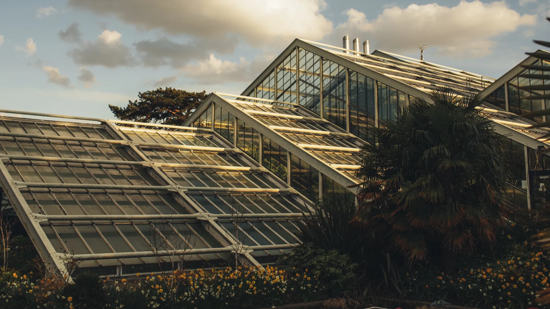 princess of wales conservatory kew gardens