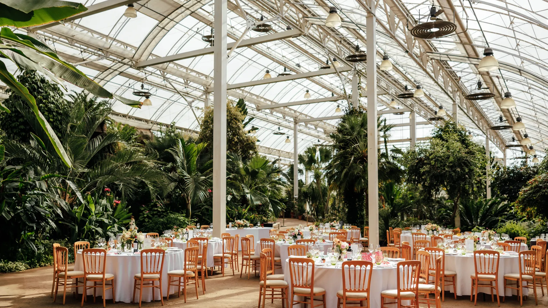 Inside the Glasshouse at RHS Garden Wisley