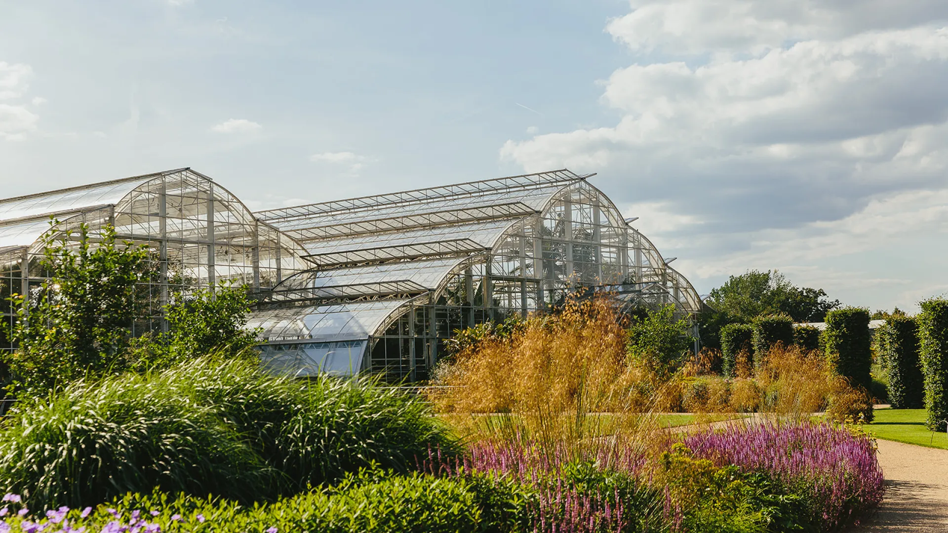 The Glasshouse RHS Wisley