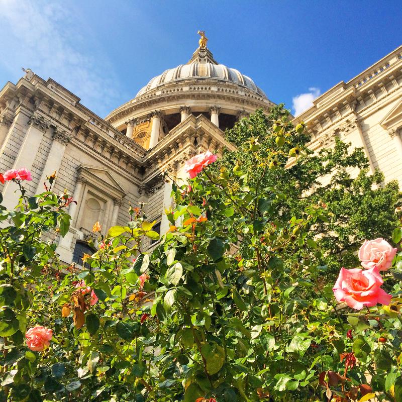 st pauls cathedral summer
