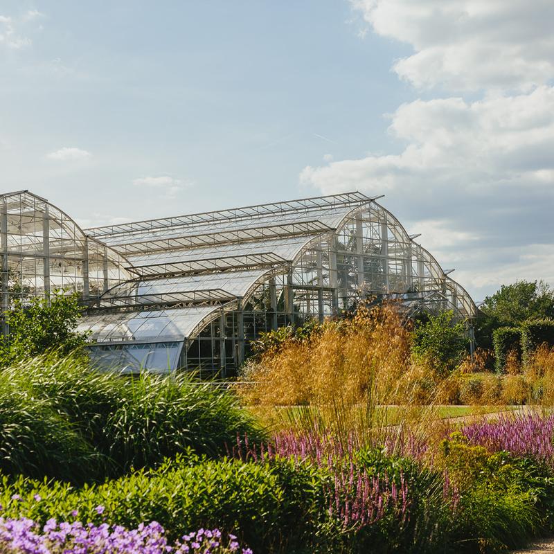 The Glasshouse RHS Wisley